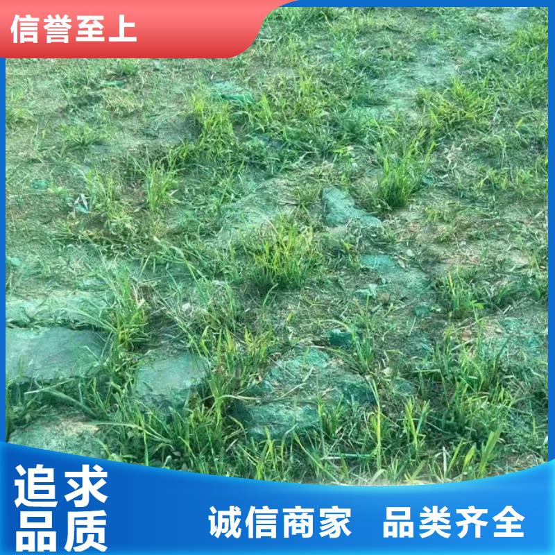 生物酶抑尘剂量大从优