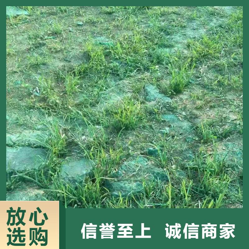 抑尘剂色素诚信为本
