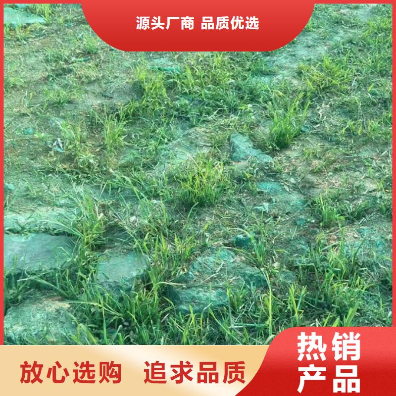 煤炭矿山抑尘剂厂家自营