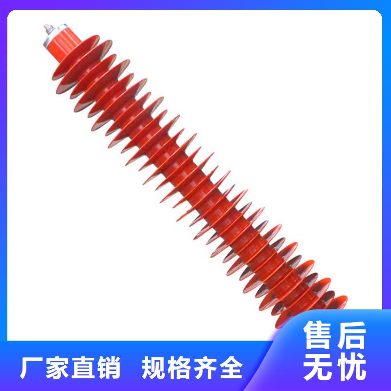 YH10CX-100/260E氧化锌避雷器