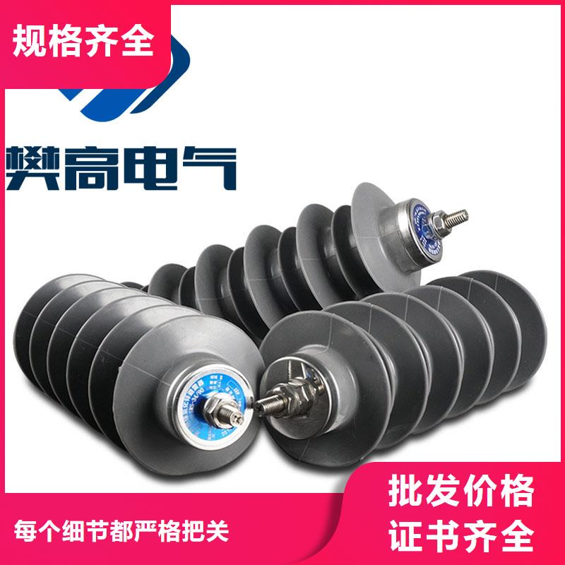 YH10CX-100/260E氧化锌避雷器