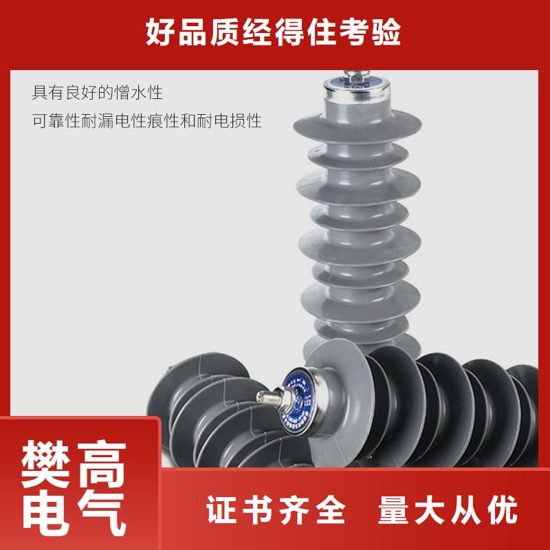 YH10CX-100/260E氧化锌避雷器