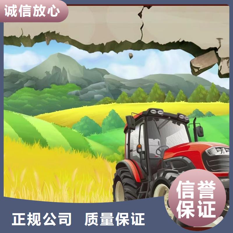 低价墙绘手绘3D彩绘户外墙画品质优服务至上