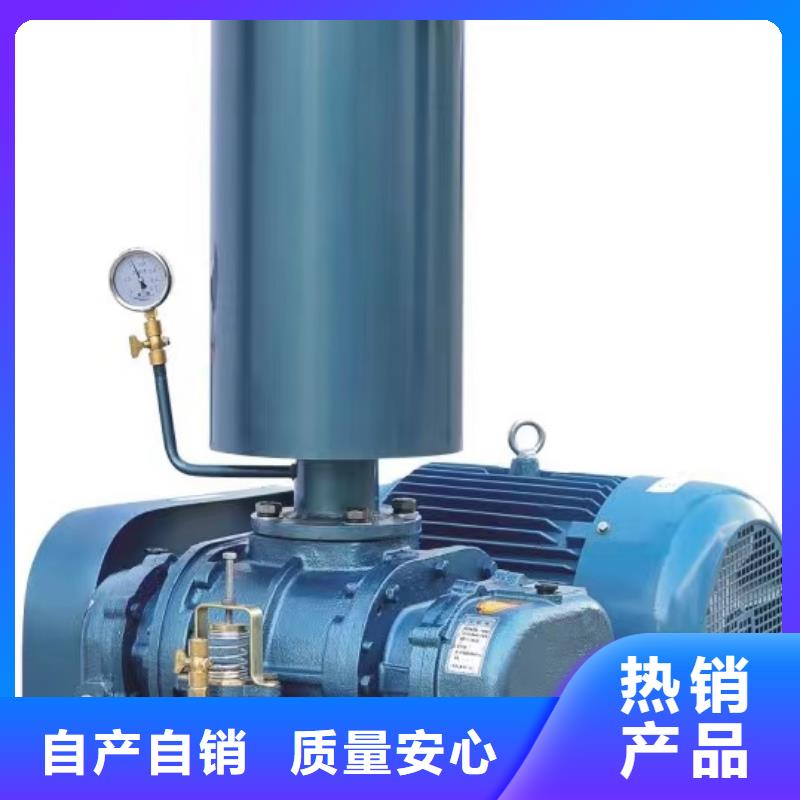 LFSR65罗茨风机速度快工期短2025已更新(今日/批发)斜槽硫化风机