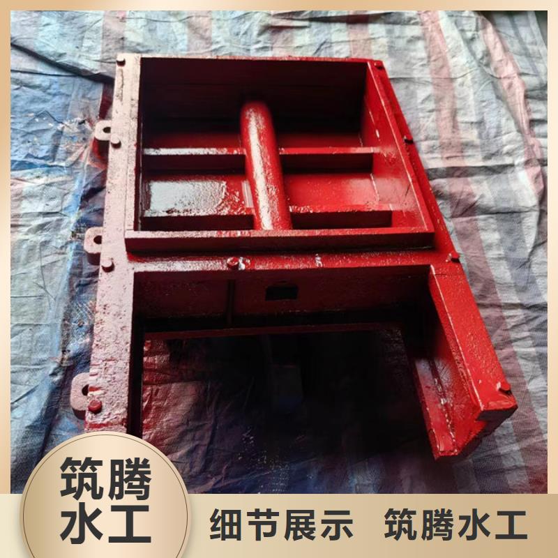 双向镶铜铸铁闸门真诚合作