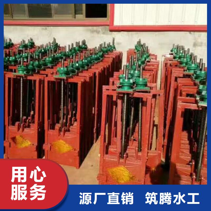 镶铜铸铁闸门源头厂家
