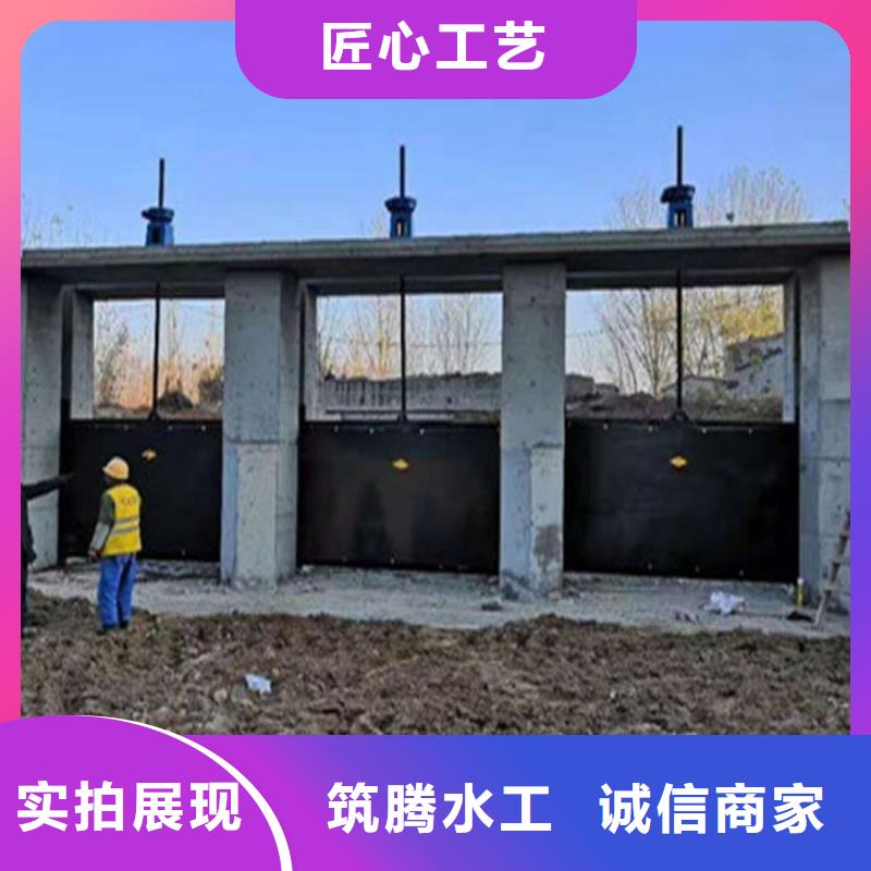 镶铜铸铁闸门源头厂家