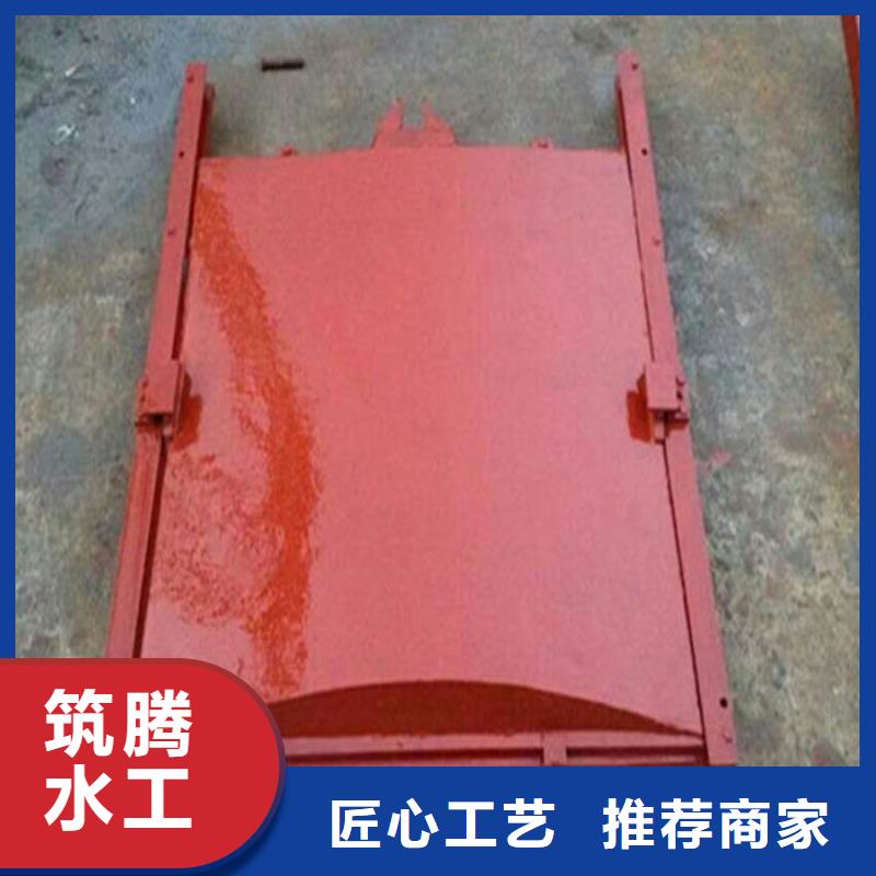 冲砂闸铸铁闸门用心经营