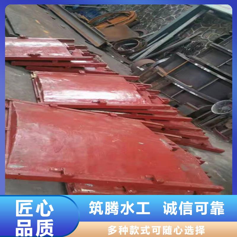 冲砂闸铸铁闸门用心经营