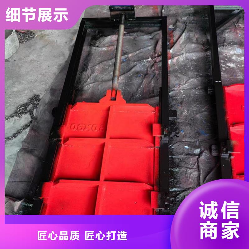 平板铸铁闸门工厂直供