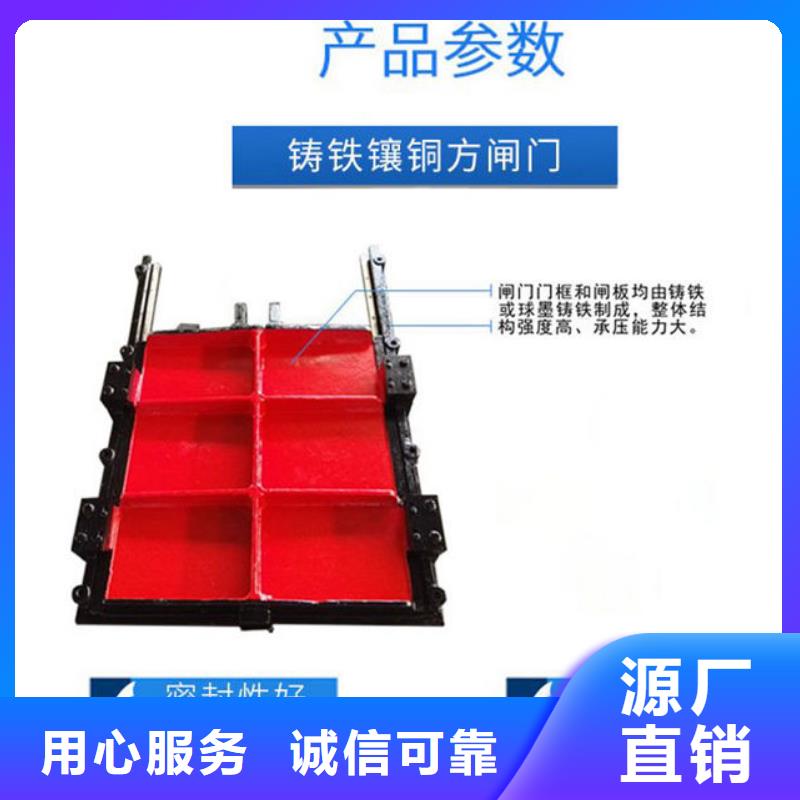 冲砂闸铸铁闸门用心经营