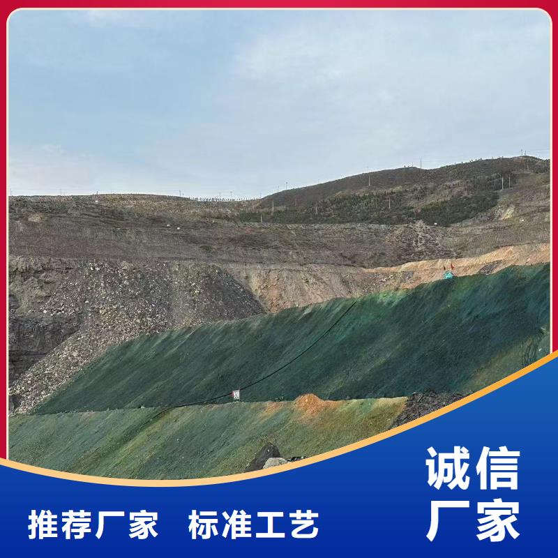 结壳环保降尘剂技术支持